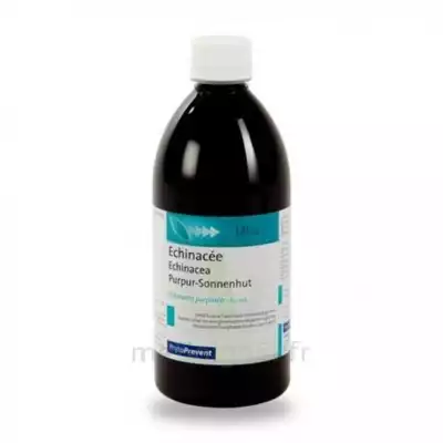 Eps Phytostandard Echinacée Extrait Fluide Fl/500ml à Annecy
