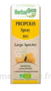 Herbalgem Propolis Large Spectre Solution Buvable Bio Spray/15ml à Annecy